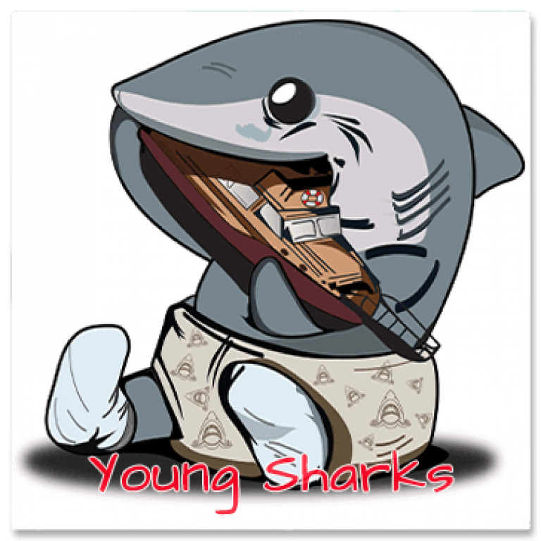 Young Sharks Cover