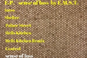 Sense of Loss Album List